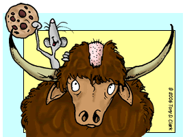 yak-shave