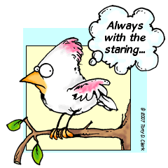 White Cardinal Cartoon